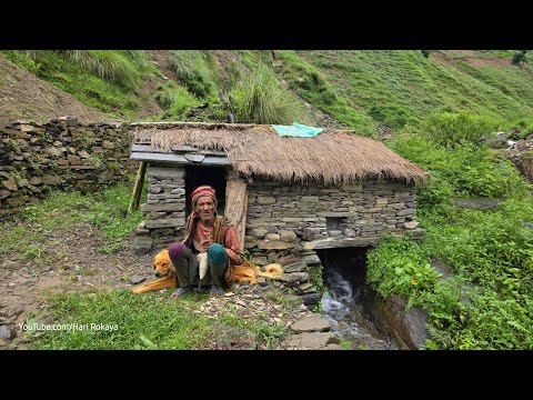 Cooking Green Radish Leaves Curry & Noddles on a Traditional Stone Stove | Nepali Village Life 