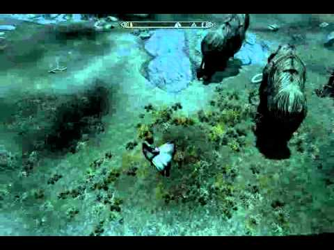 Skyrim-Braith goes flying!!!