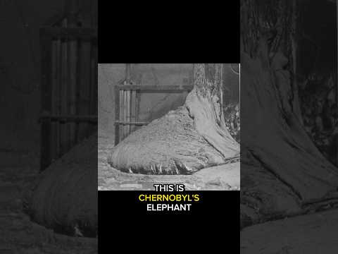 Chernobyl’s Elephant's Foot