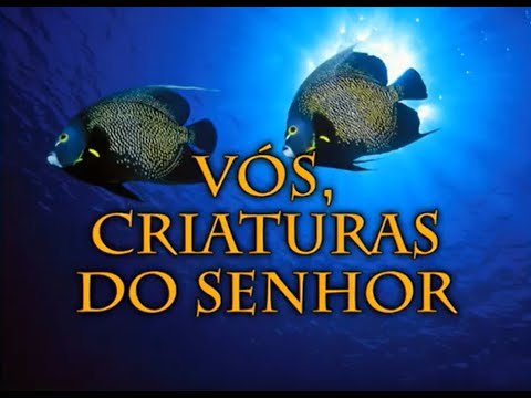 Hino 15: VÓS CRIATURAS DO SENHOR. Hinário Adventista do Sétimo Dia (Hinário IASD)