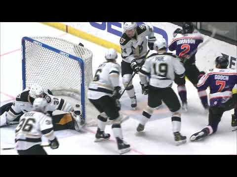 Reading Royals at Wheeling Nailers 3/13/22