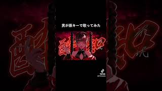 【酔いどれ知らず】高音系男子が原キーで歌ってみた! #shorts