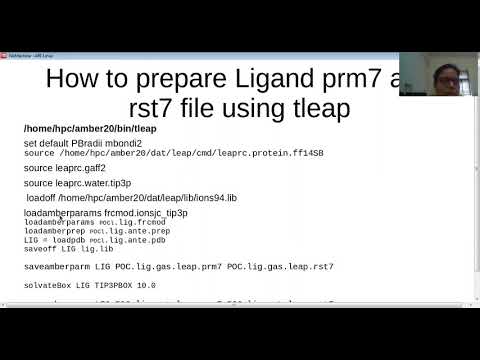 Tutorial 5: How to run MD simulations using Amber 20 Software while making complex file in Chimera