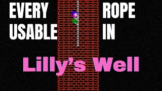How to Get Every USABLE Rope in Lilly's Well