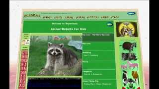 Google Chrome World Wide Maze Demo on Skyenimals Animal Website for Kids