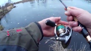 Река лесная рыбалка в брестской области