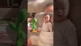 Download lagu bayi lucu bermain dengan kaktus ajaib mp3 Download lagu bayi lucu bermain dengan kaktus ajaib mp3