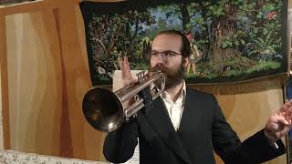 מה זה חצוצרה? נחמן צוקר מסביר שיעור 1