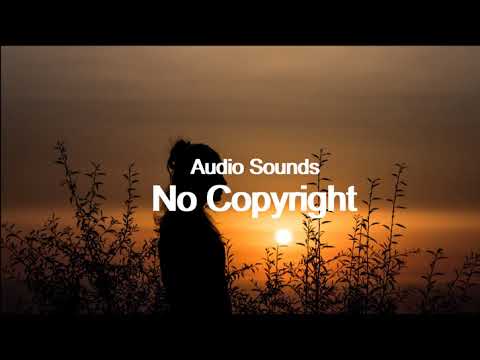 Toasted- Dylan Sitts (Vlog No Copyright Music)