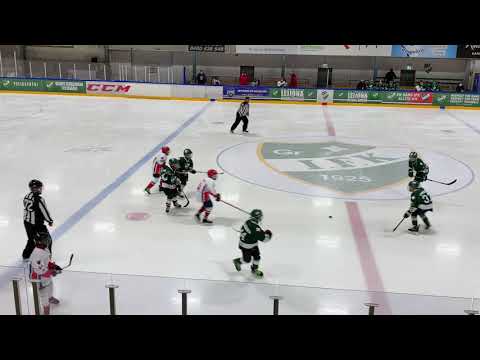 2020-10-10 GrIFK 08 Gold-Viikingit