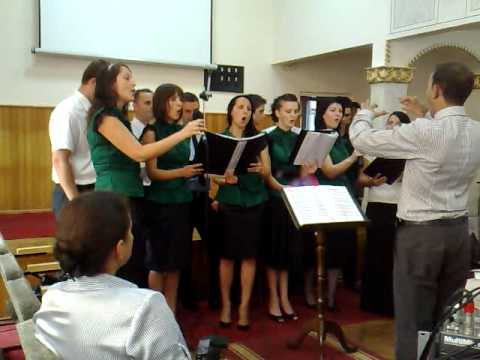 Cantores Amicus - Mai sus de-albastre zari