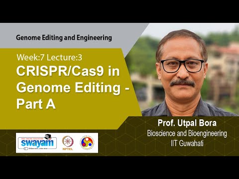 Genome Editing and Engineering Intro Video