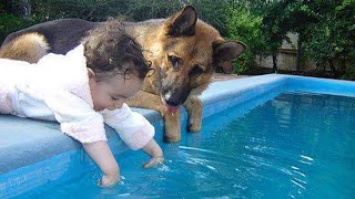 When Your Dog Becomes The Trusted Nanny - Cute dog and little human