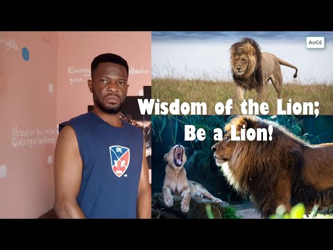 Wisdom of the Lion; Be a Lion!