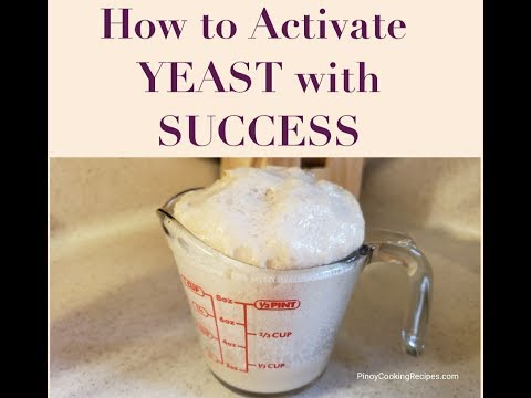 download lagu mp3 mp4 Water Temp For Yeast No Thermometer, download lagu Water Temp For Yeast No Thermometer gratis, unduh video klip Water Temp For Yeast No Thermometer