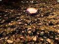 The Legend of Zelda - Mirror Shield of the Great Sea для TES V: Skyrim видео 2