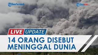 Gunung Semeru di Lumajang Erupsi, 14 Orang Dilaporkan Meninggal Dunia, 9 Sudah Teridentifikasi