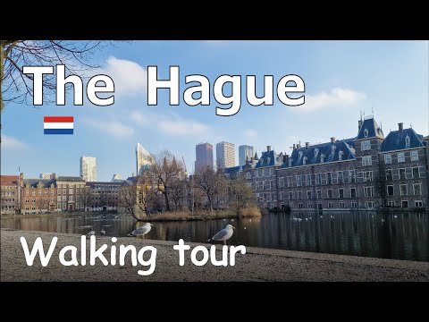 Discover the Best of The Hague, Netherlands: A Captivating Walking Tour