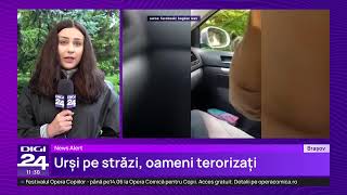 🟣 Știrile Digi24 de la ora 11 – 2 iunie 2026