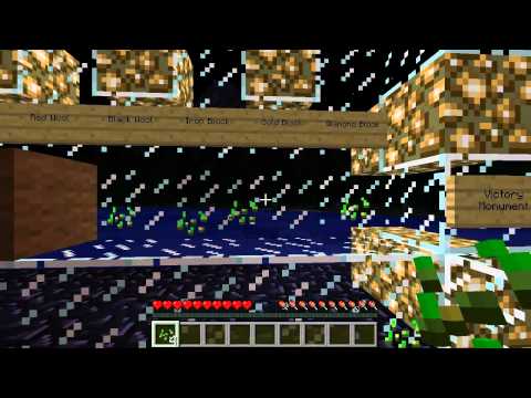 Super Hostile: Lethamyr, SPEED RUN