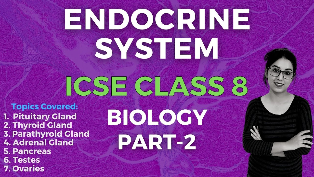 Endocrine System | ICSE CLASS 8 Biology | Part - 2