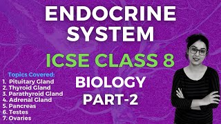 Endocrine System | ICSE CLASS 8 Biology | Part - 2