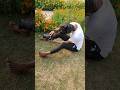 Photography New Click Photography Status 4second Video India
