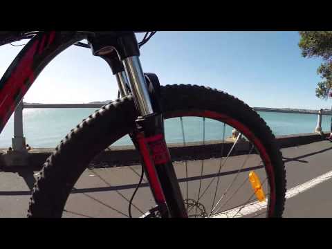 Tamaki Drive Bike Ride