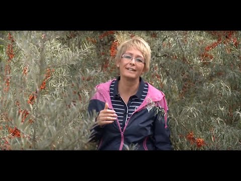 a pénisz alakja és szerkezete kegel gyakorolja a férfiak erekcióját