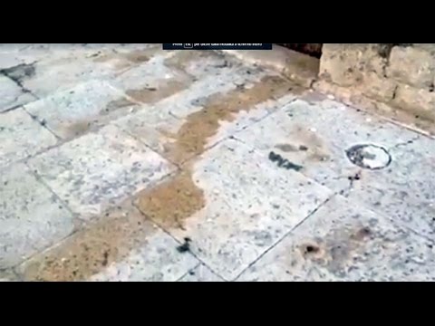 Castori che cifrano lalcolismo Sinonimo di delirium tremens