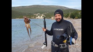Подводная рыбалка в черногории