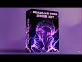 FREE BRAZILIAN FUNK DRUM KIT PHONK 2025 Free Download