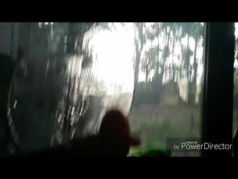 Tom the Hand 2x09: The Terror of Dogs (2017) - Tom the Hand vs. Bill the Snake