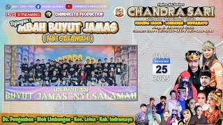 Download lagu Live Siang Chandra Sari | Unjungan Mbah Buyut Jamas (Nyi Salamah) | Selasa 25 -11-2025 | Pengauban mp3