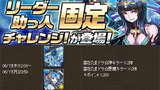 [리더 고정 챌린지 5] 자팡×스미레 pt.