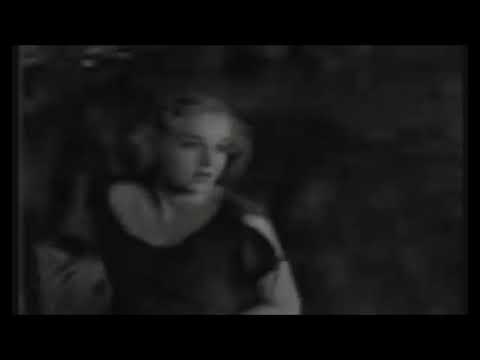 Sumatran Tiger vs MALE AFRICAN LION - Sumatran Tiger killed Male lion (Rare footage)