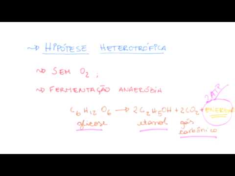 Me Salva! OV03 - Hipótese heterotrófica