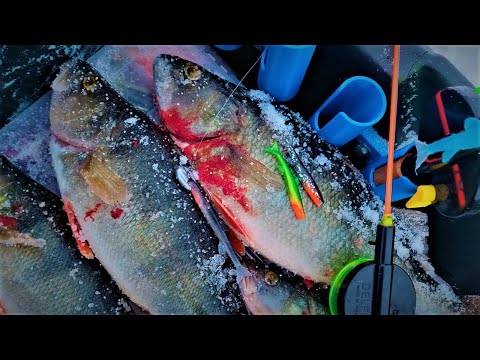 KARKEAA AHVENTA PILKILLÄ | AHVENET LÖYTYY LAIKUILTA | KAIKULUOTAIN PILKINTÄ | HUMMINBIRD HELIX 5 ICE