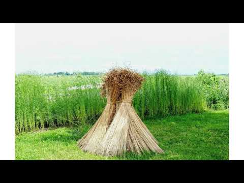 Encouraging Bruised Reeds and Smoking Flax