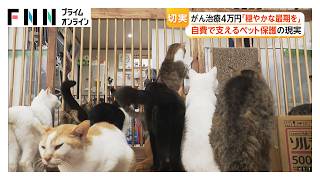 増える保護犬・保護猫　飼い主の高齢化で深刻化する“多頭飼育崩壊”　命支える保護団体の“苦悩”（2026年09月26日）