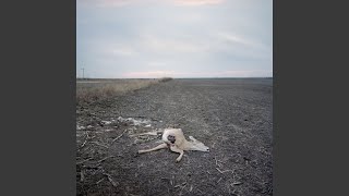 What Did You Expect to Find?