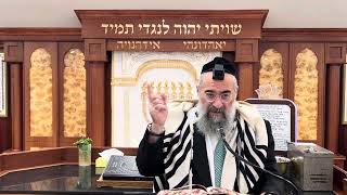 כמה שיעור אכילת עראי שפטור מהסוכה (הרב יצחק ישראלי) - התמונה מוצגת ישירות מתוך אתר האינטרנט יוטיוב. זכויות היוצרים בתמונה שייכות ליוצרה. קישור קרדיט למקור התוכן נמצא בתוך דף הסרטון