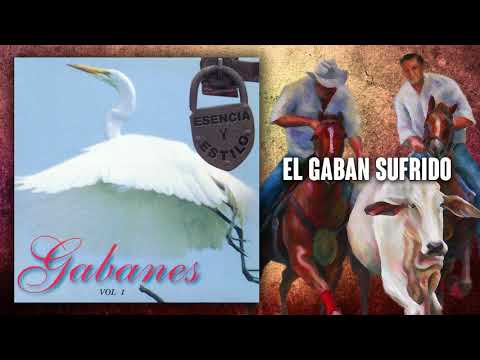 El Gaban Sufrido | Música Llanera