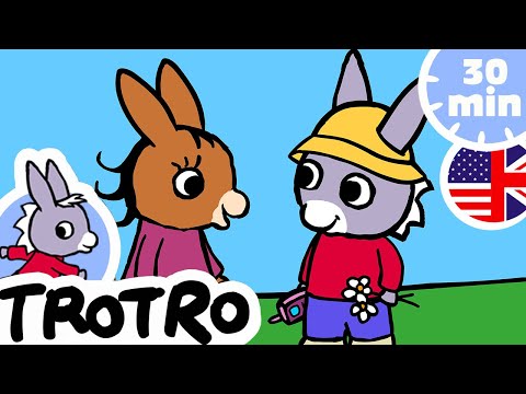 30 minutes from Trotro - Trotro loves going outside!