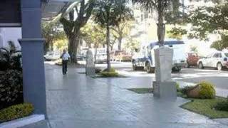 preview picture of video 'Resistencia Capital Nacional de las Esculturas'