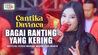 Download lagu BAGAI RANTING YANG KERING - CANTIKA DAVINCA ft. OM NIRWANA | LIVE MUSIC | VERSI KOPLO mp3 Download lagu BAGAI RANTING YANG KERING - CANTIKA DAVINCA ft. OM NIRWANA | LIVE MUSIC | VERSI KOPLO mp3