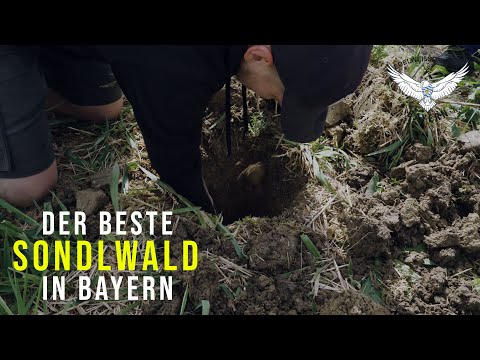 Der BESTE Sondlwald in Bayern (in 4K!) | Edelweiß Sondler