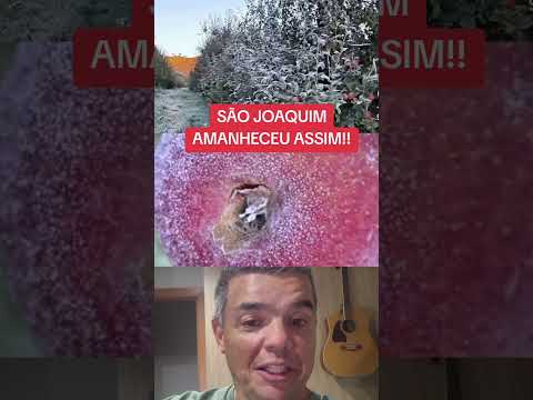 SÃO JOAQUIM EM SC AMANHECEU COM -5 GRAUS...