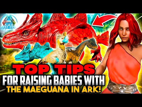 Top Tips for Raising Babies with the Maeguana in Ark!