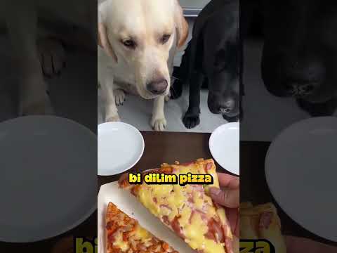 Ortada Kocaman Bir Haksızlık Var.. ⚖️❗